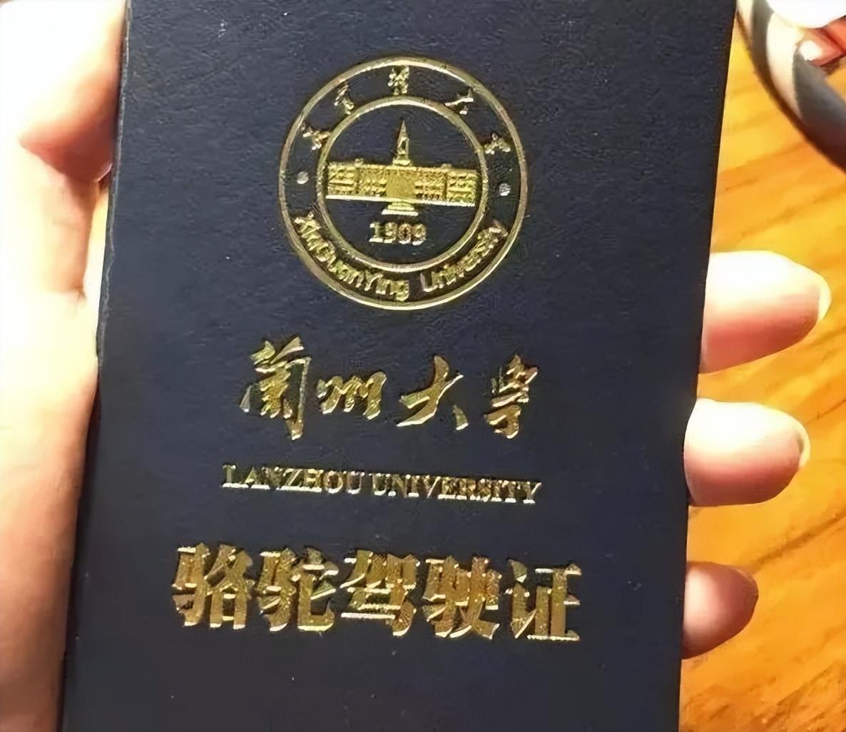 兰州大学是985还是211（中国最惨的985大学是哪个大学）