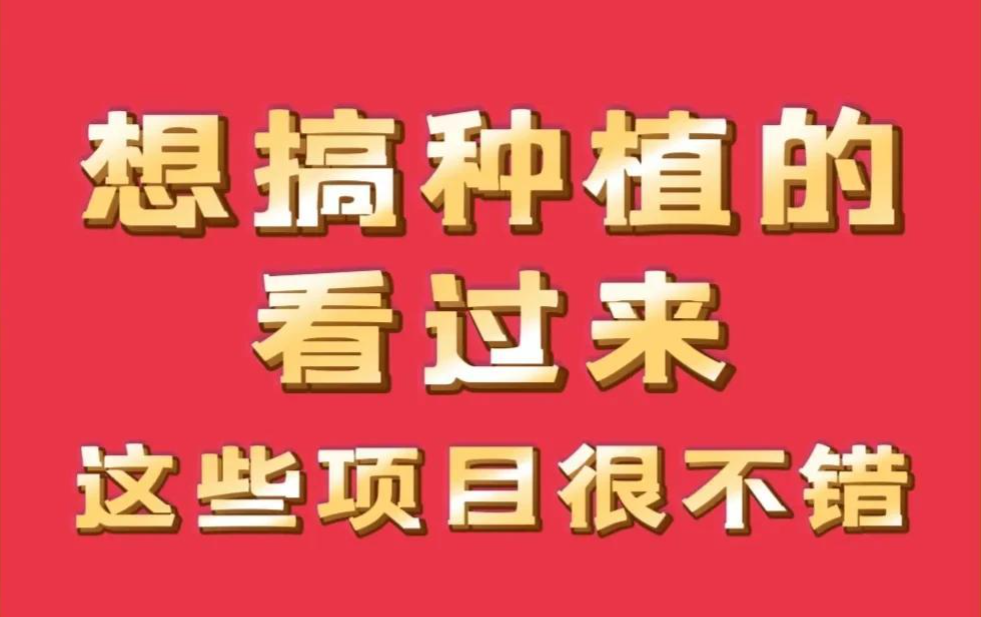 农村种植致富新项目大全（亩入过万的农村项目，你心动了吗）