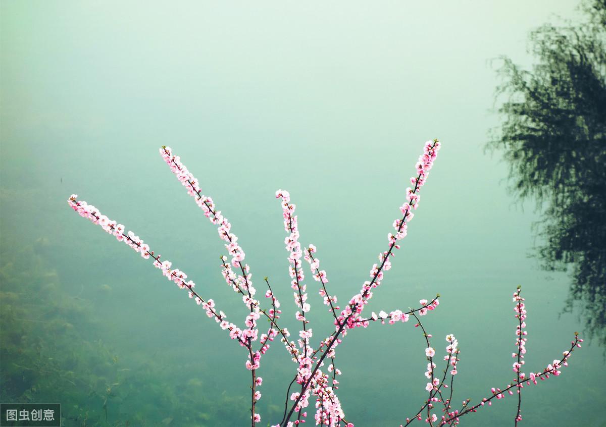 动静结合是什么手法（古诗歌的写景有哪些方法）