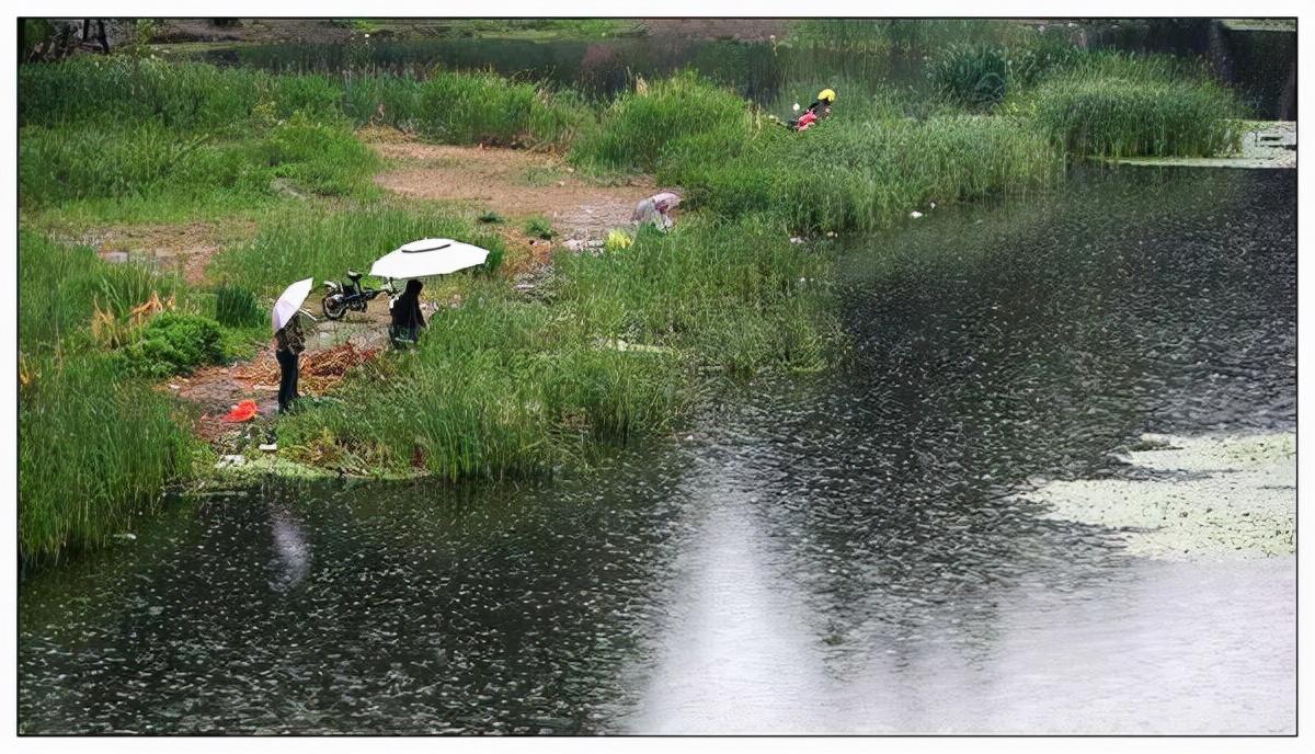 下雨天钓鱼钓深还是浅(下雨天钓鱼钓深还是浅重要吗)