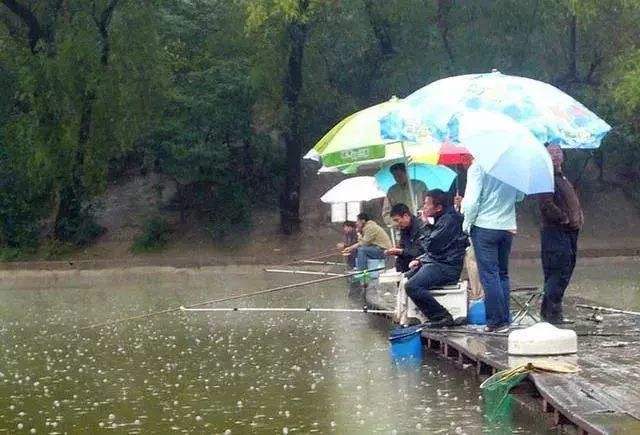 下雨天钓鱼钓深还是浅（下雨天钓鱼钓深还是浅重要吗）