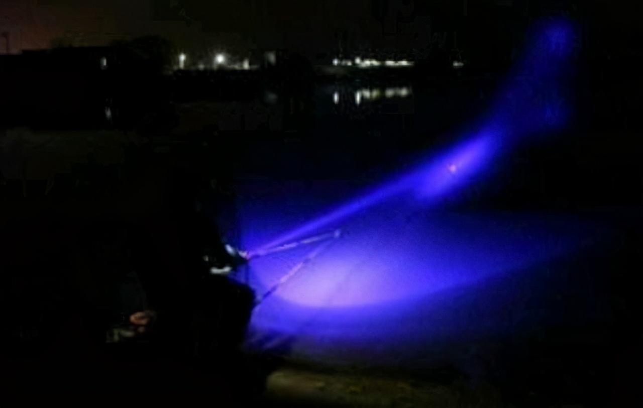 夜钓鲢鳙晚上什么时候是最佳时间（夜钓鲢鳙的几点要求）