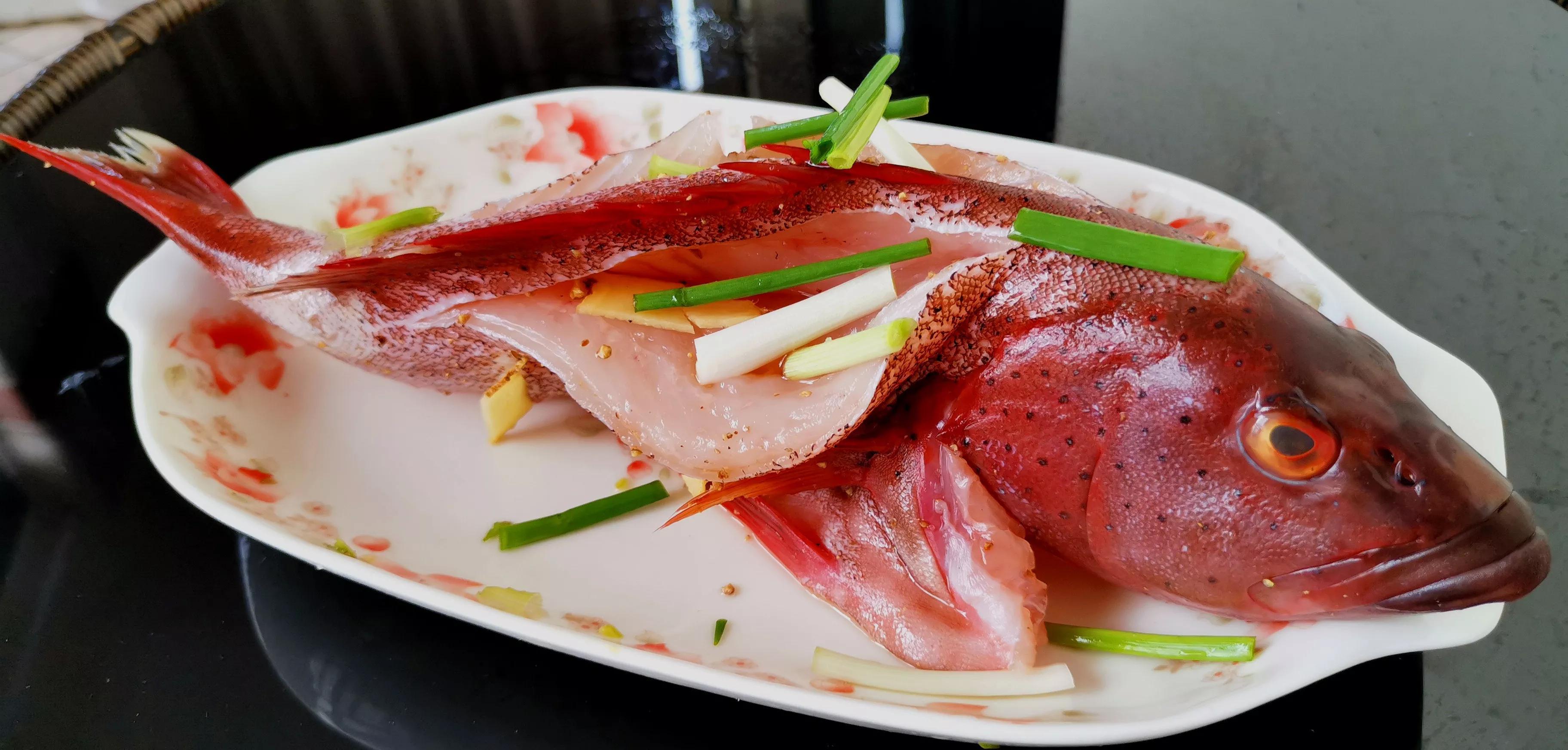 石斑鱼是海鱼吗(石斑鱼有多少种类)