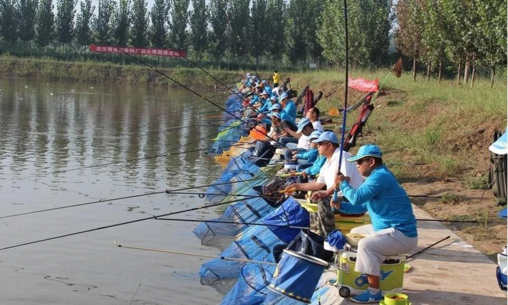 鱼竿5h和6h有区别(鱼竿5h和6h有什么区别呢)
