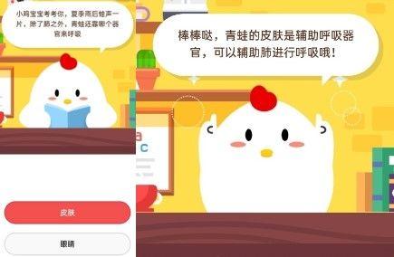 青蛙用什么器官呼吸(青蛙除了肺之外还靠哪个器官来呼吸)