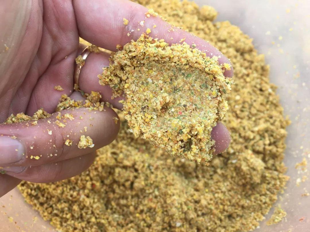 菜籽饼打窝钓什么鱼效果最好(菜籽饼打窝多久才能有鱼呢)