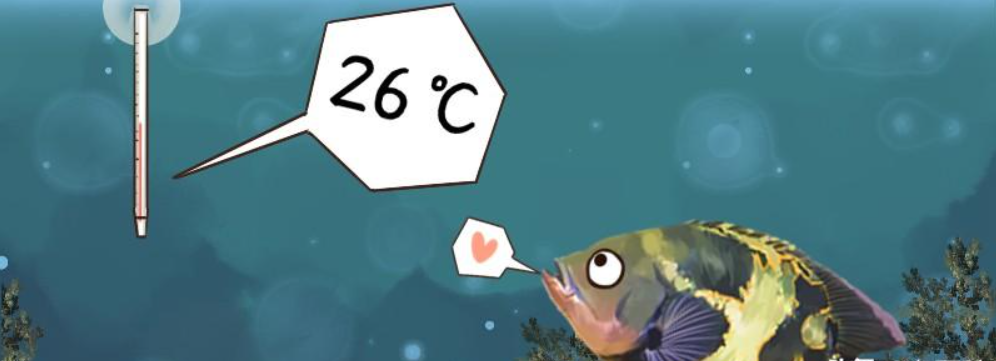 地图鱼水温多少度合适（水温对地图鱼重要吗）