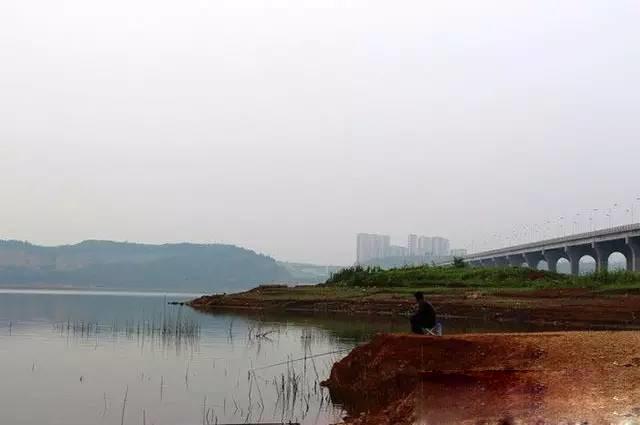 下雨前一天钓鱼效果好不好(雨前雨中雨后哪个时间段更适合钓鱼)