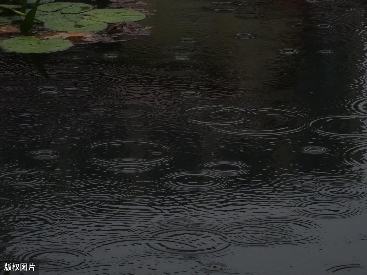 雨后钓鱼好钓吗（雨后真的好钓鱼吗）