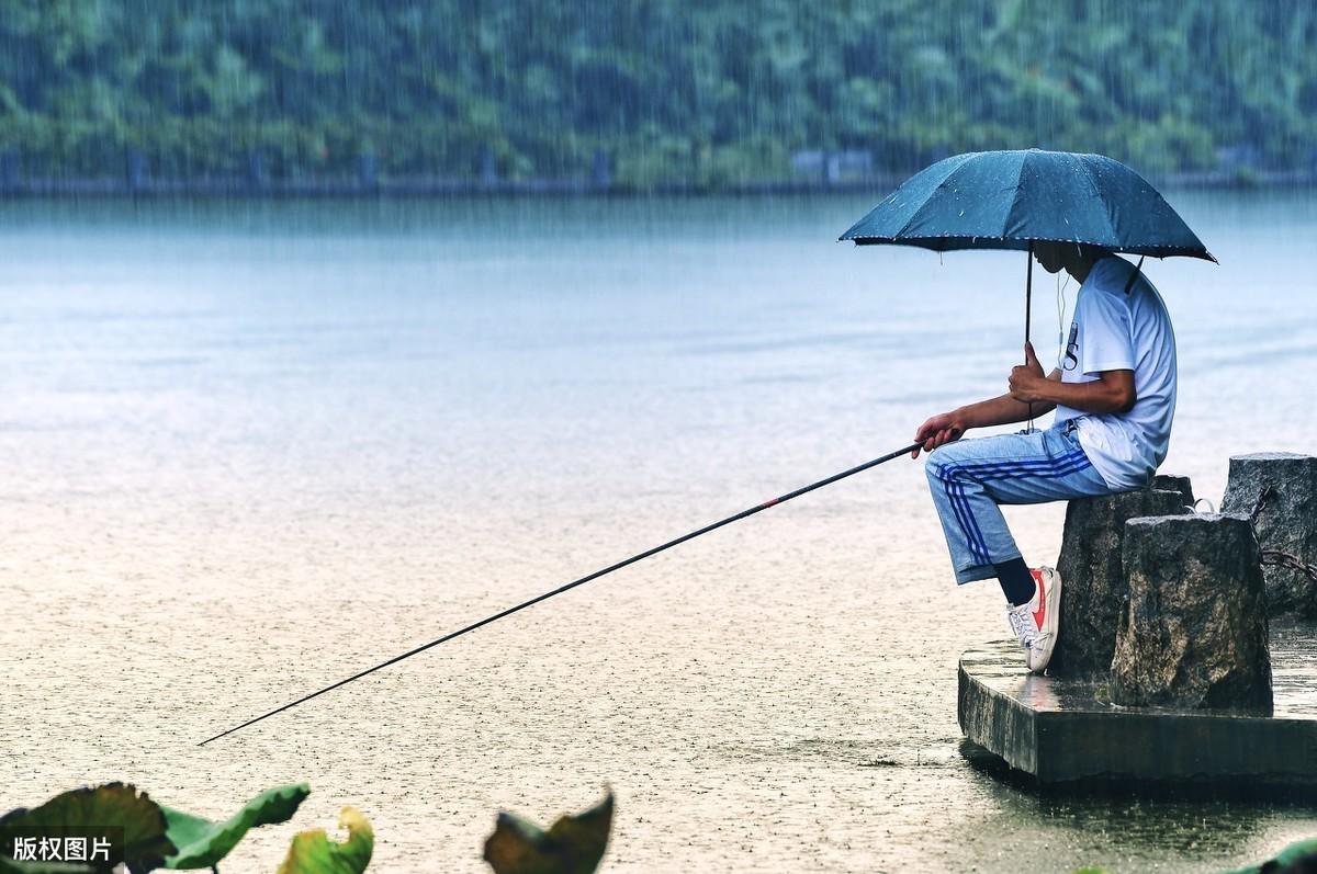 雨后钓鱼好钓吗（雨后真的好钓鱼吗）