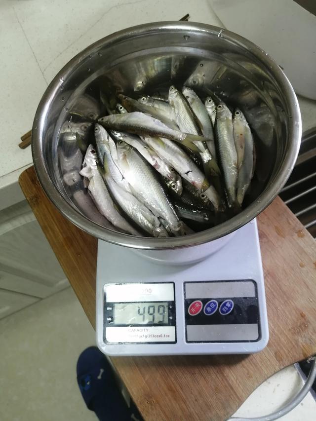 公认钓白条最快的钓法钓多深(夏季野钓大白条详细攻略)
