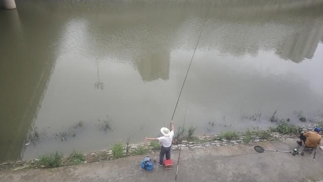 鱼竿竿稍是什么(鱼竿竿稍脆弱吗)