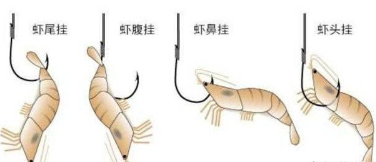 钓翘嘴鱼用什么钩最好（钓翘嘴鱼用什么饵料最好）