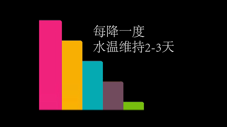 鱼炸鳞了怎样快速治疗（龙鱼炸鳞了有多可怕呢）