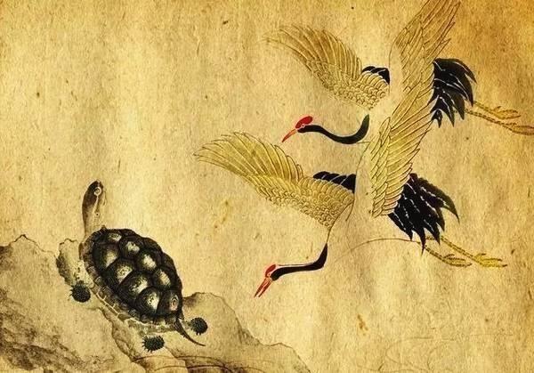 乌龟能活1000年吗（千年王八万年龟的说法是真的吗）