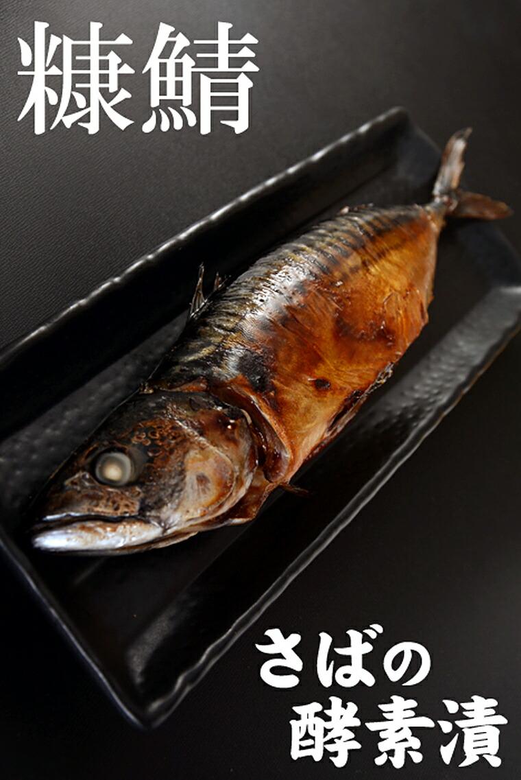 鲭鱼是什么鱼（鲭鱼是深海鱼么）