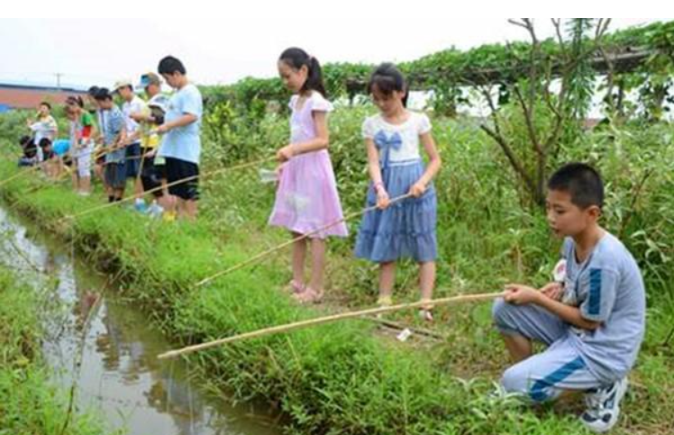 野钓小龙虾秘诀（小龙虾的垂钓方法）