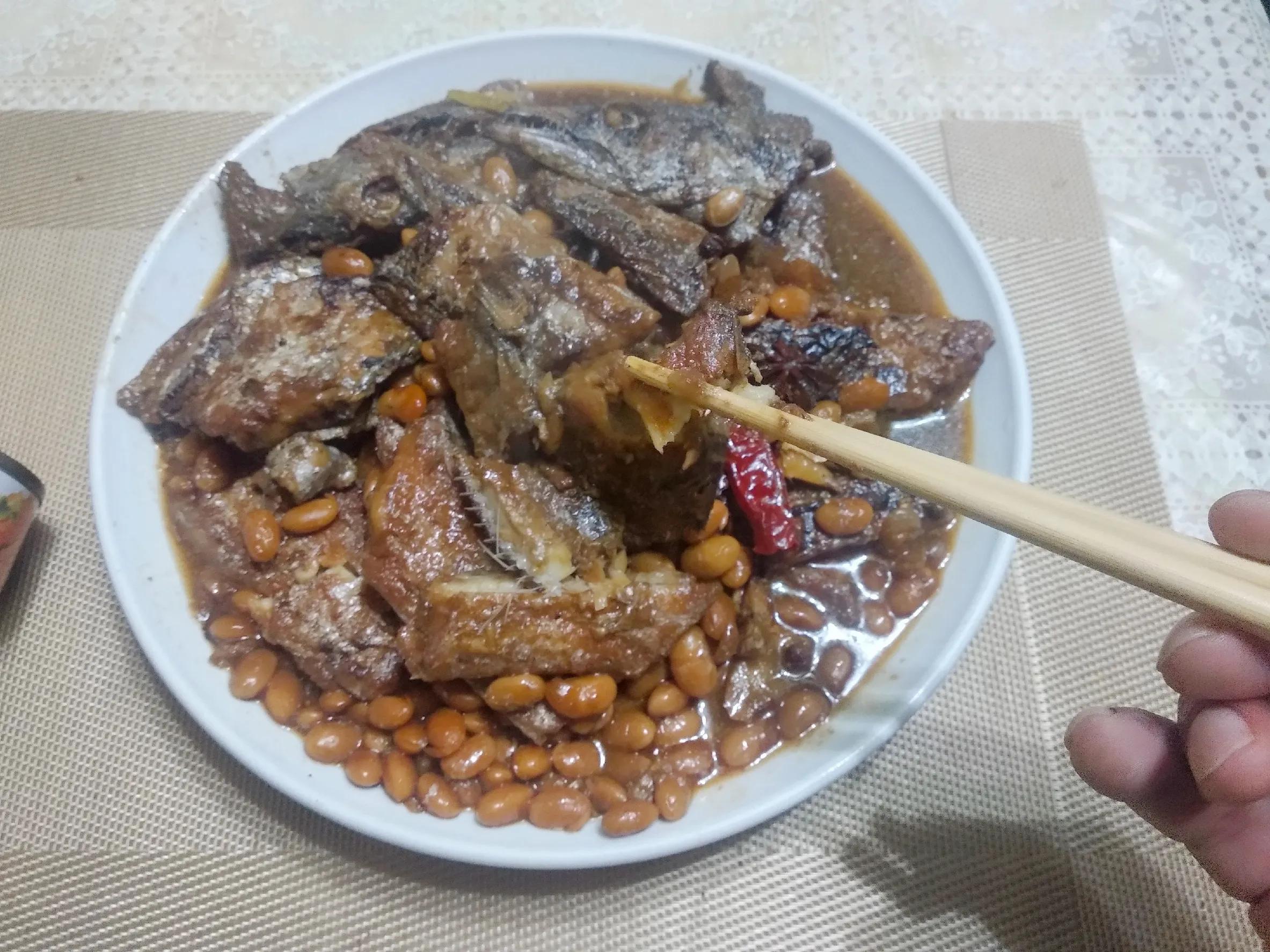 带鱼生活在海底多少米（带鱼能养殖吗）