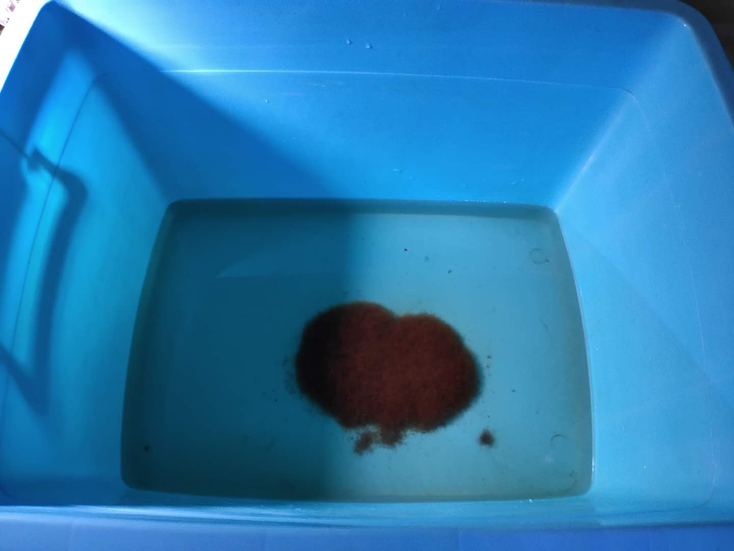 水蚤是什么动物（水蚤是甲壳虫动物吗）