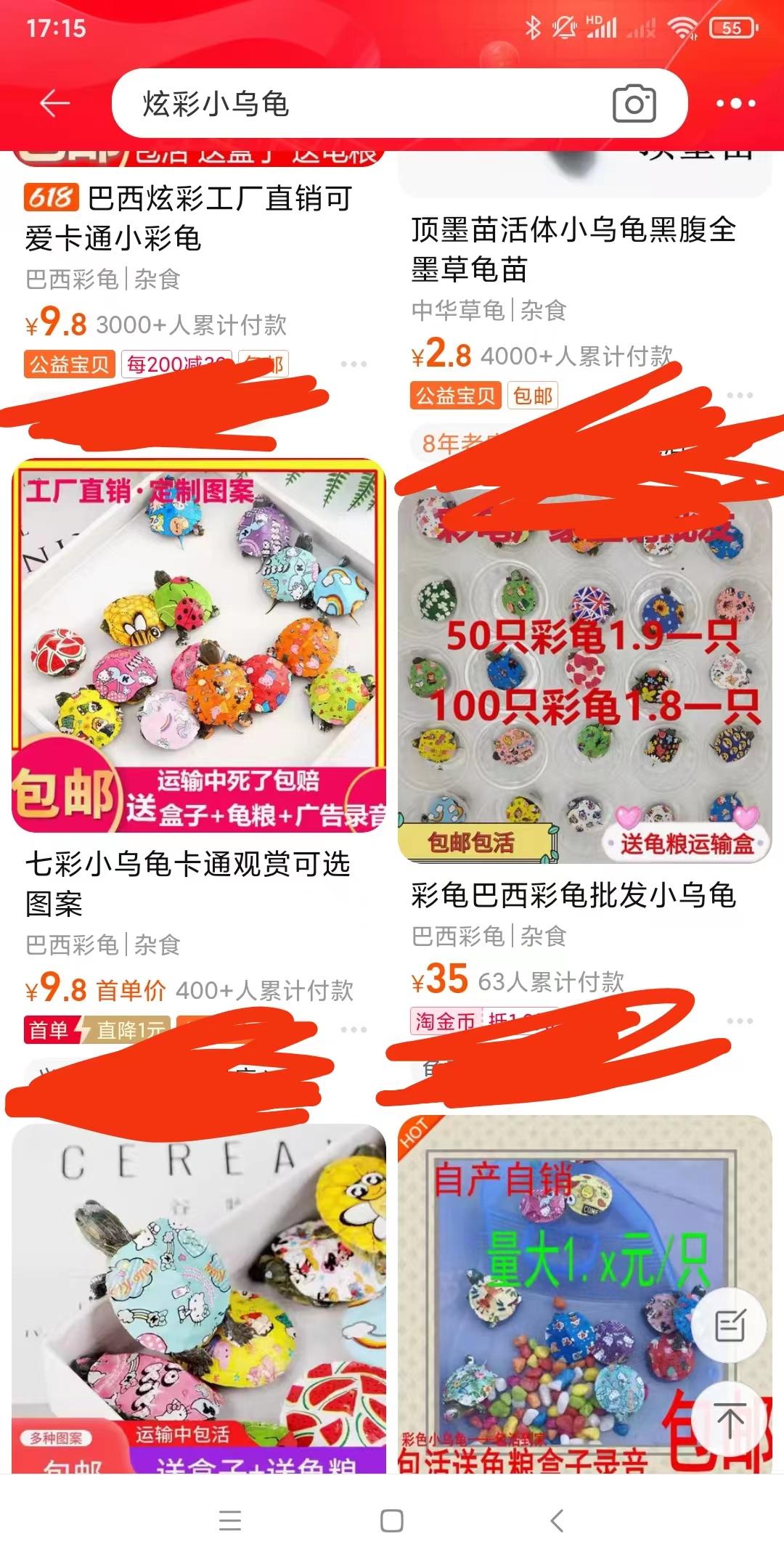 彩色乌龟能活多久（彩色乌龟能买吗）