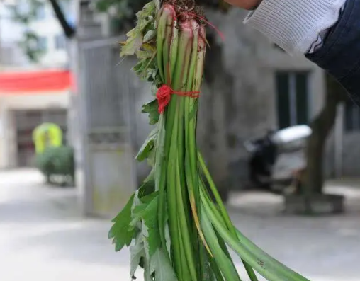 端午节人们要干什么（端午节的五大习俗）