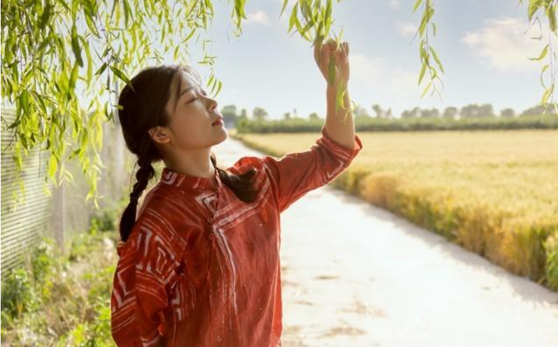 适合中年女人读的书（适合中年女人读的四本书）