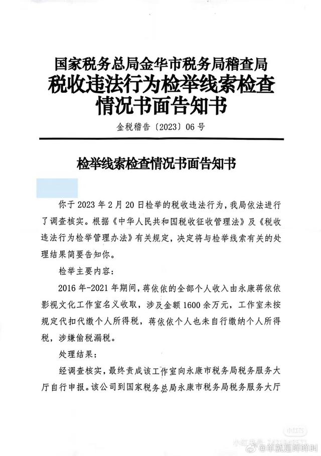 蒋依依被曝偷税漏税 已补缴238万（7月收到稽查局检查告知书）