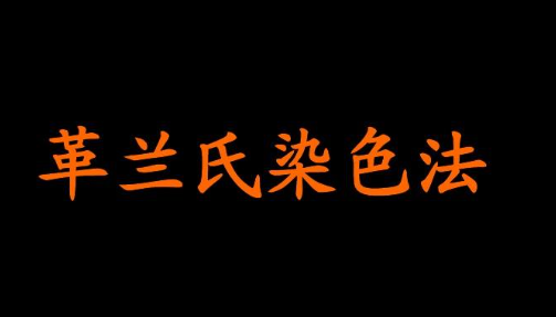 革兰氏染色原理（革兰氏染色法一般步骤）