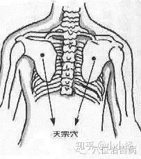 丰胸穴位，按一按就让你的胸部大起来！