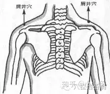 丰胸穴位，按一按就让你的胸部大起来！