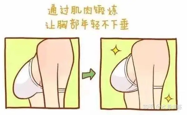 妹纸看过来, 健身真能丰胸么?