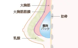 资深整容的经验之谈—丰胸